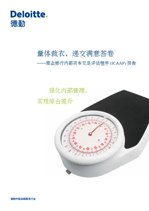 ICAAP报告