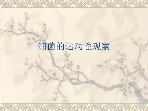实验六