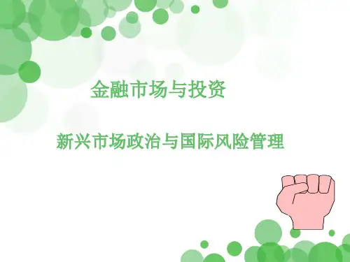 2020年市场政治与国际风险管理