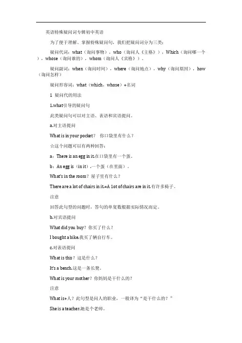 英语特殊疑问词