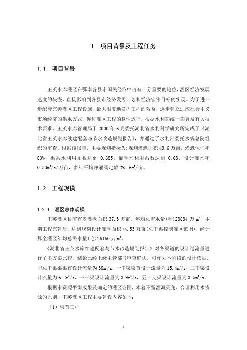 王英水库报告