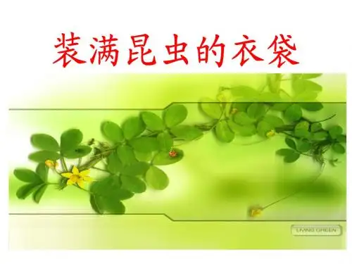 装满昆虫的衣袋公开课课件