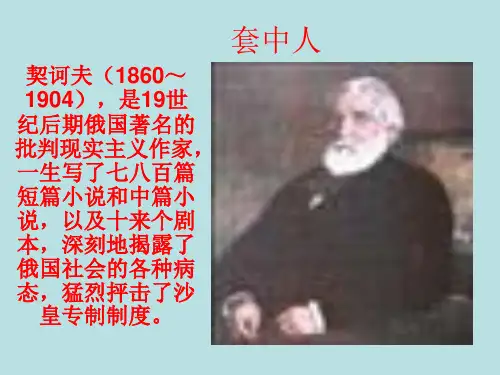 套中人