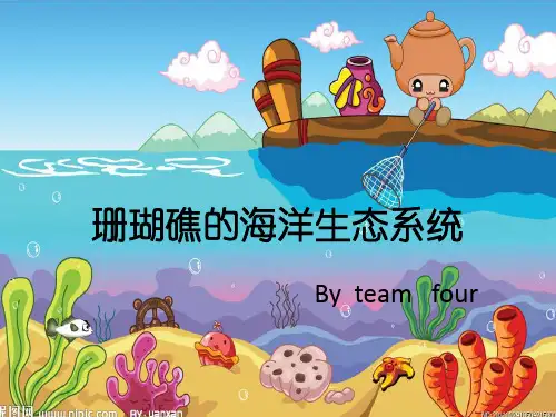 珊瑚礁及其生态系统