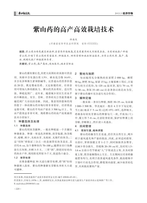 紫山药的高产高效栽培技术