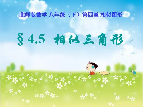 《相似多边形》相似图形PPT4 图文