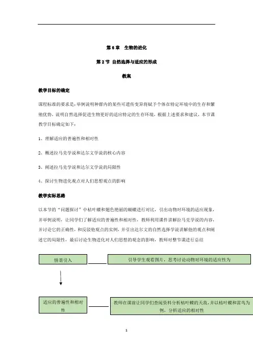 高中生物人教版必修二教案：第6章生物的进化 6.2自然选择与适应的形成