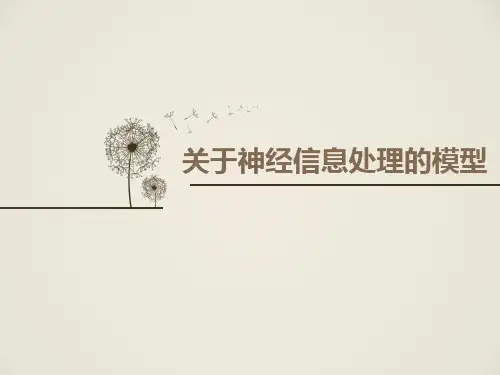 神经元信息处理模型
