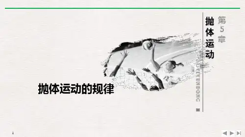 《抛体运动的规律》抛体运动优质精选PPT教学课件