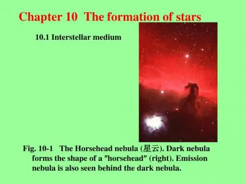 Chapter10