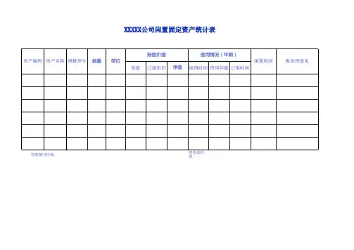 闲置资产明细表