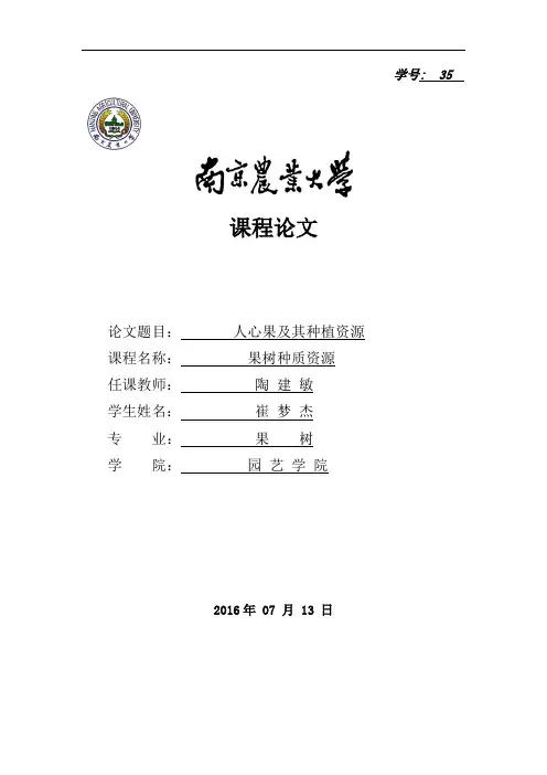 人心果及其种植资源