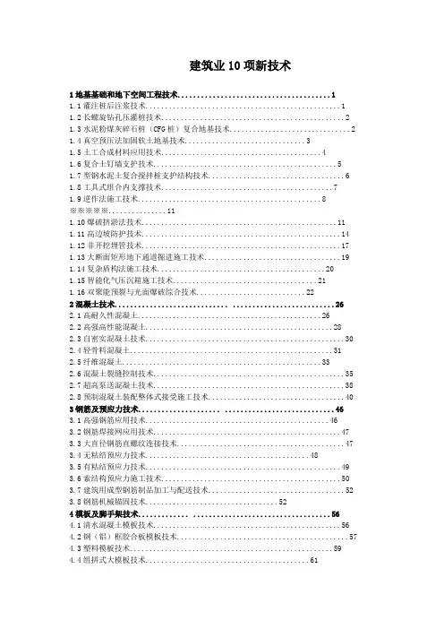 建筑业10项新技术 2