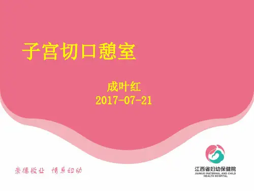 子宫切口憩室