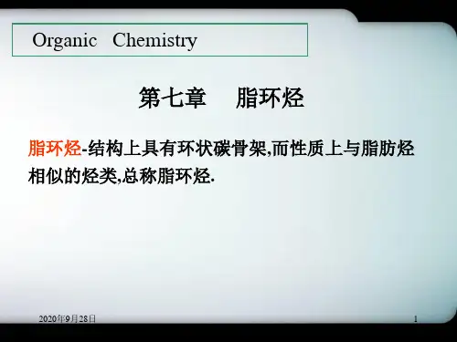 7脂环讲解PPT课件
