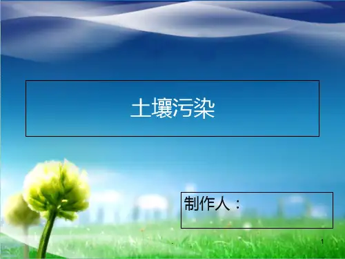 土壤污染PPT课件