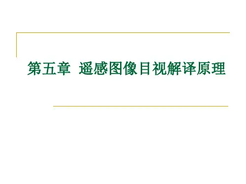 第五章遥感图像目视解译原理