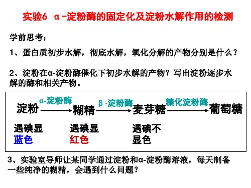 《高三生物复习资料》实验6-α-淀粉酶的固定化及淀粉水解作用的检测-精选文档