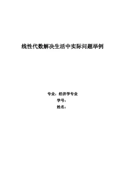 线性代数在经济学中的应用 2