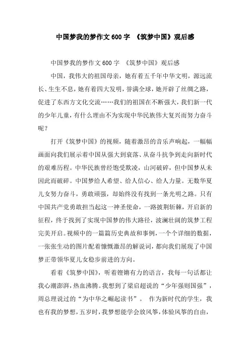中国梦我的梦作文600字 《筑梦中国》观后感
