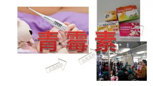 β内酰胺抗生素