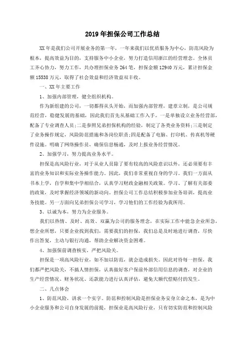 2019年担保公司工作总结