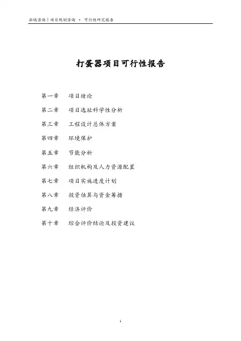 打蛋器项目可行性报告