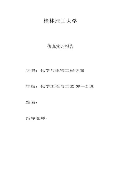 化工仿真实习报告