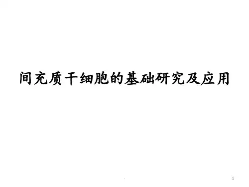 间充质干细胞的基础研究及应用