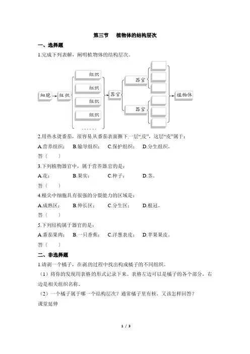 《植物体的结构层次》同步练习2