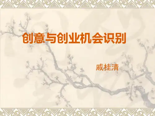 创意与创业机会识别1-1