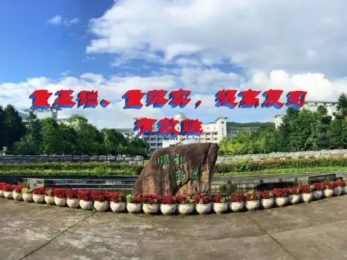 2019届高三历史高考《重基础,重落实,提高复习有效性复习》