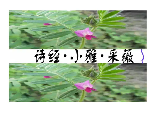 诗经采薇ppt讲课稿20页PPT