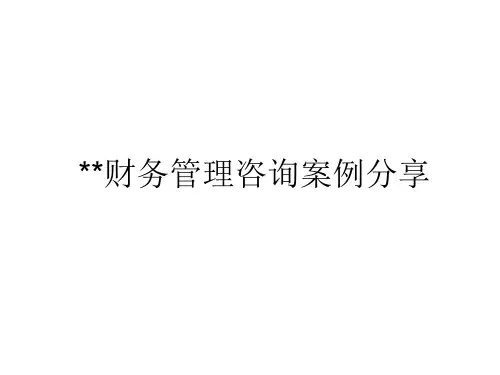 财务管理咨询案例分享