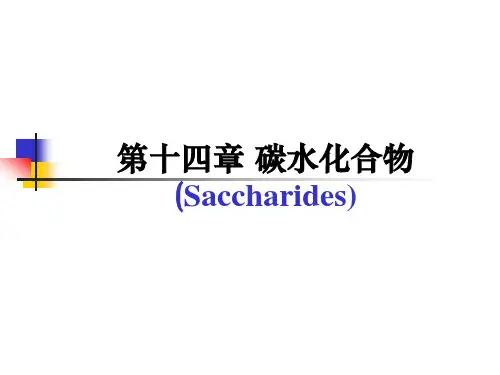 13-碳水化合物