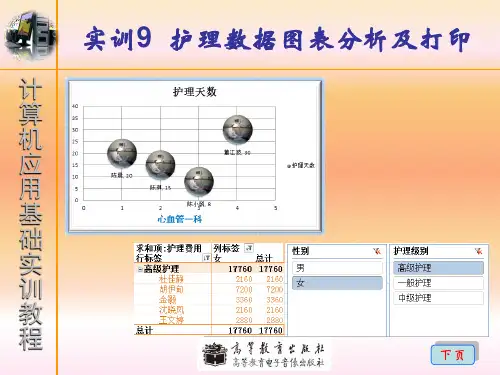 实训9护理数据图表分析及打印