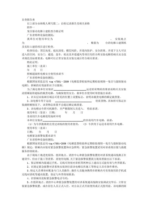 自查报告表格