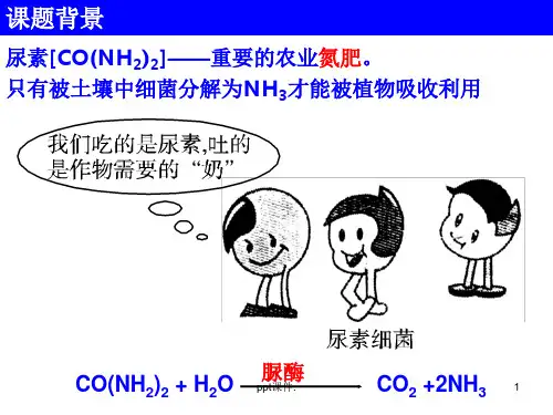 土壤中分解尿素的细菌的分离与计数ppt课件