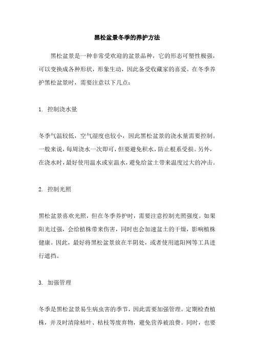 黑松盆景冬季的养护方法