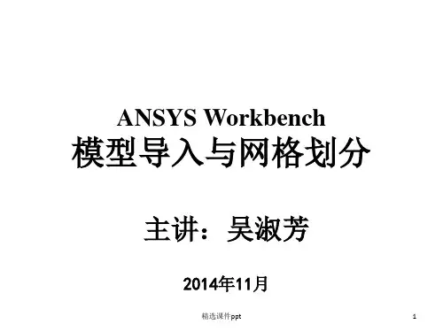 ANSYS Workbench 模型导入与网格划分