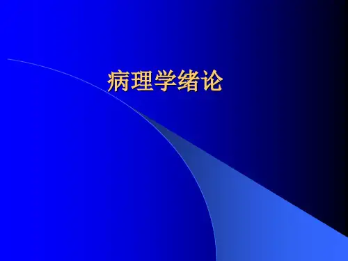 组织和细胞的损伤和修复