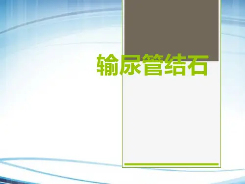 输尿管结石讲课PPT课件