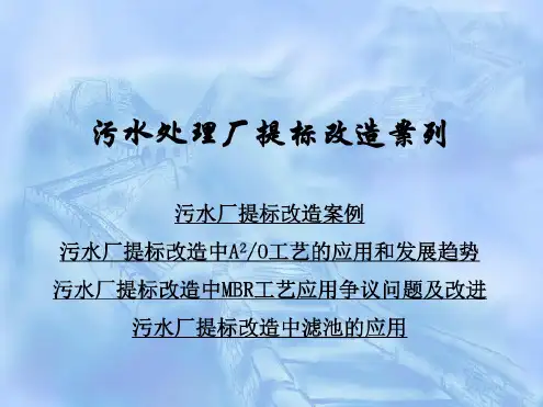 污水处理厂提标改造案例课件