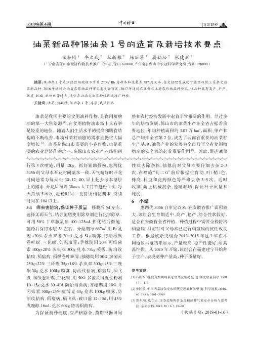 油菜新品种保油杂1号的选育及栽培技术要点