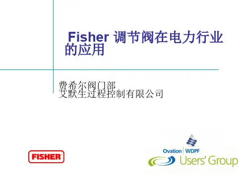 Fisher产品-电力行业
