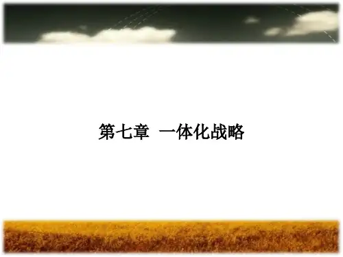 第七章 一体化战略