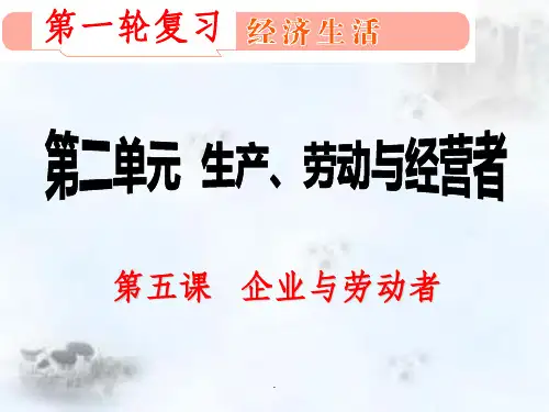 经济生活第五课-一轮复习ppt课件