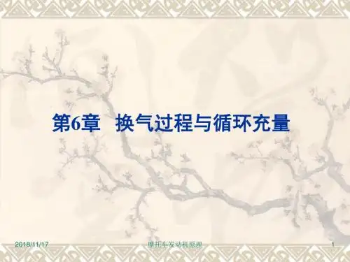 第6章换气过程与循环充量.