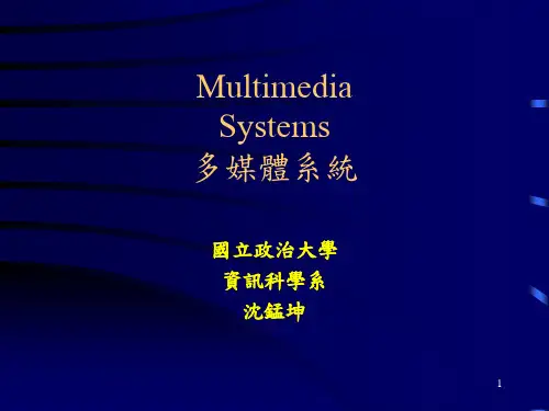 多媒体系统.ppt