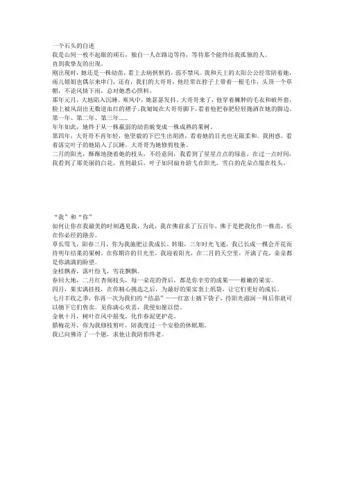 苹果的故事